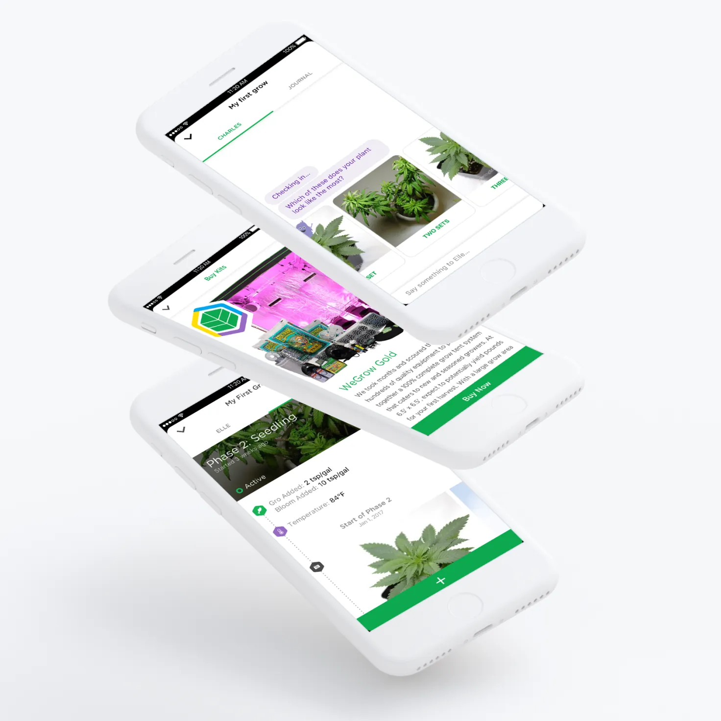 Three iPhones floating at an angle showing the WeGrow app — the grow assistant asking which photo a plant looks most like, the WeGrow Gold grow kit with a Buy Now button, and a grow journal at Phase 2: Seedling logging nutrients and temperature