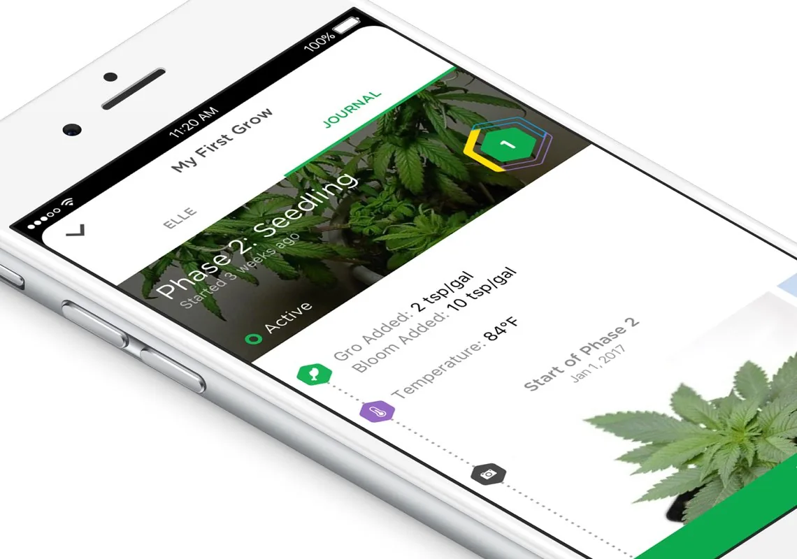 WeGrow mobile app on a phone